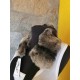 шал заек рекс ,шал  рекс № 727,728,726,725